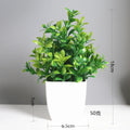 Artificial Bonsai Plant in Pot for Home Decor